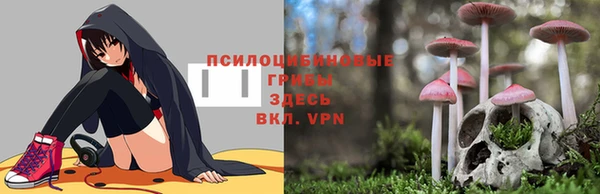 прущий лед Аркадак