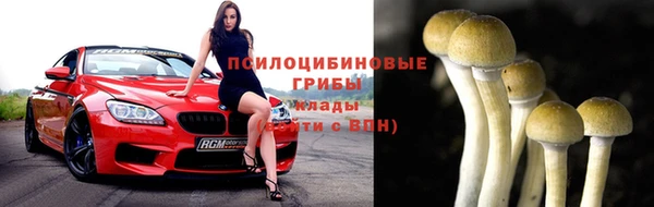 прущий лед Аркадак