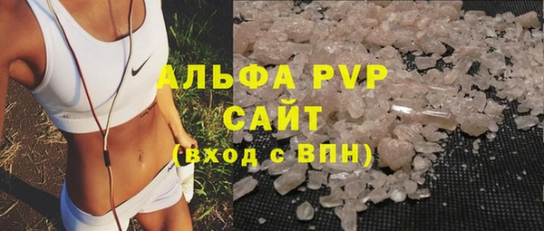 сатива Армянск