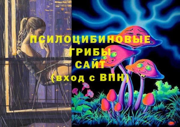 прущий лед Аркадак