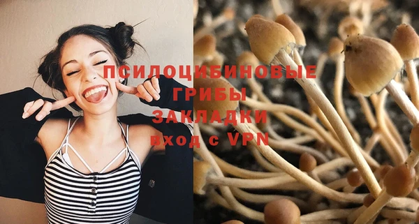 прущий лед Аркадак
