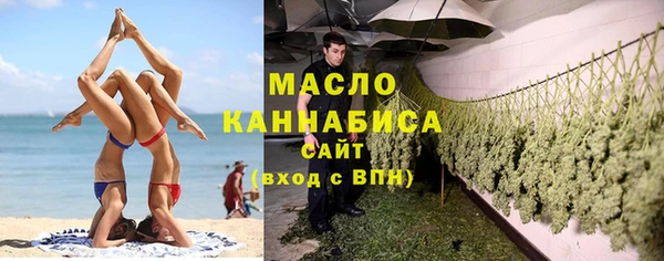 сатива Армянск